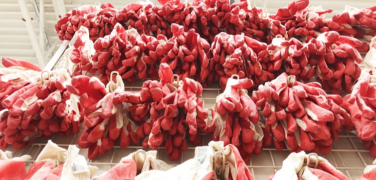 消毒效果檢測合格報告書有什么內(nèi)容?洗碗機(jī)有沒有除菌效果 