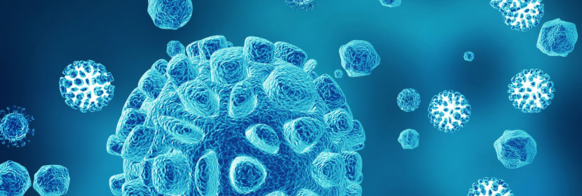 微生物檢測(cè)