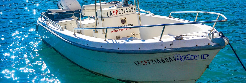 射頻敏感性試驗