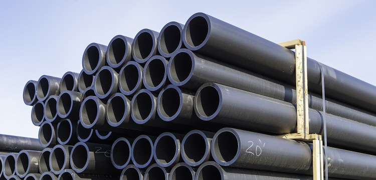 SARS-CoV-2 接觸感染倉(cāng)鼠模型