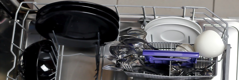 沙門氏菌灌胃誘導回腸炎小鼠模型