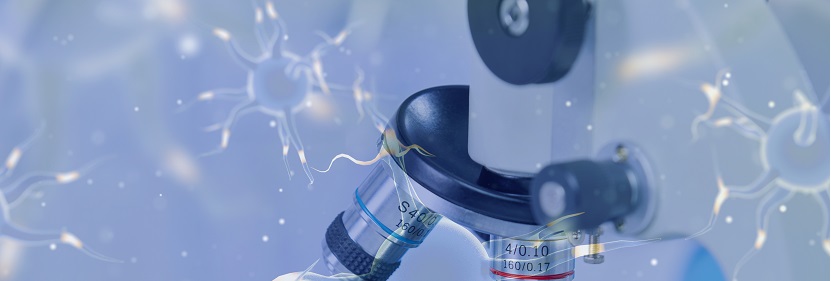 聚碳酸酯檢測(cè)