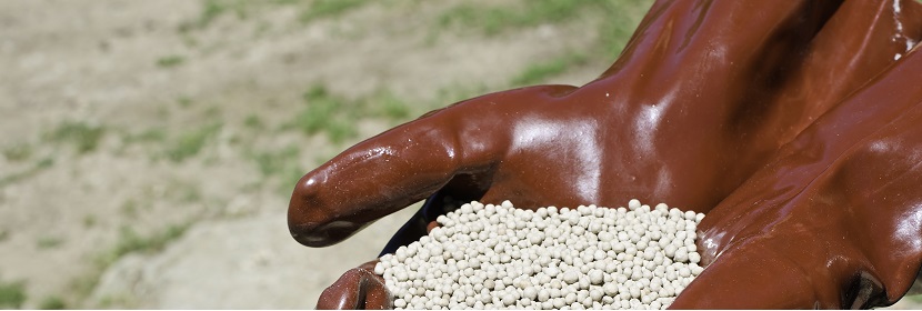 二氫化喹啉檢測(cè)