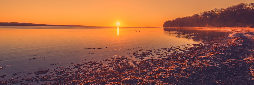 動(dòng)物組織試驗(yàn)