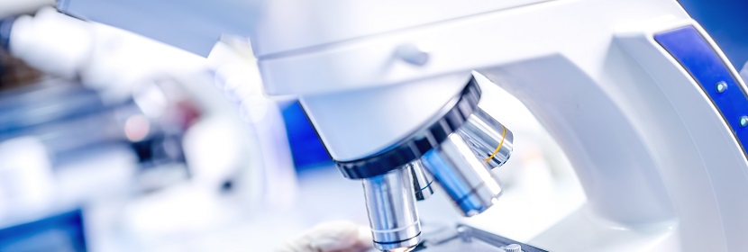 初期干燥抗裂性試驗