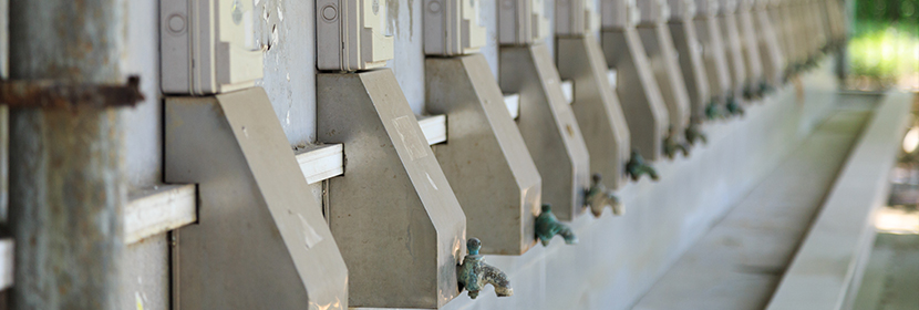 城市供水水質檢測