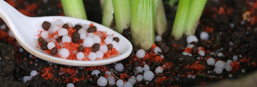 肥料有害物質(zhì)檢測