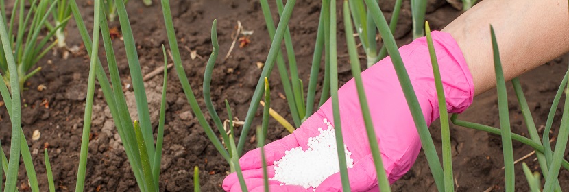 聚合物硫包衣尿素檢測