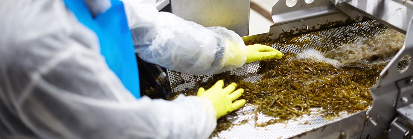 食品GMP車(chē)間檢測(cè)