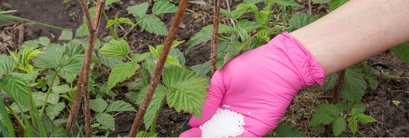 丁烯叉二脲緩釋肥料檢測