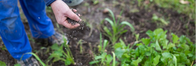 控釋摻混肥料檢測
