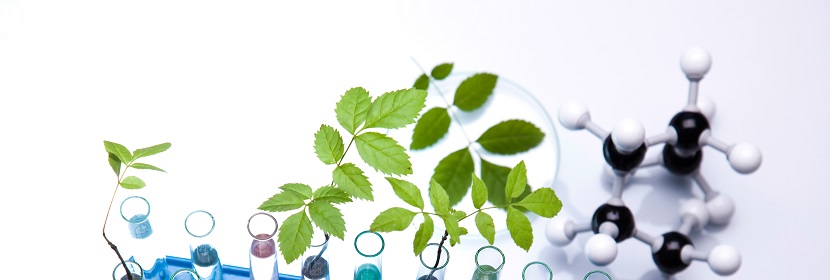 腐植酸復合肥料檢測