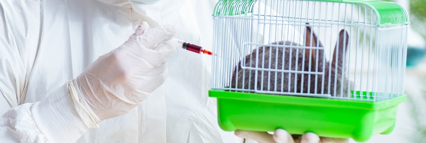 皮膚刺激測(cè)試