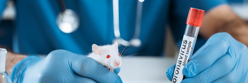 手消毒劑多次完整皮膚刺激試驗