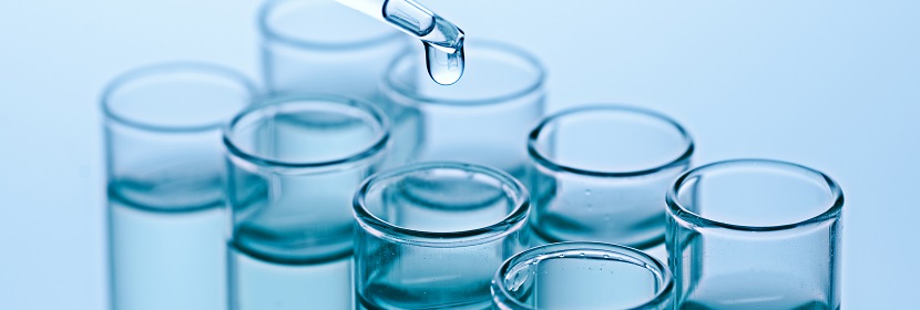 化學(xué)品細(xì)胞微核試驗