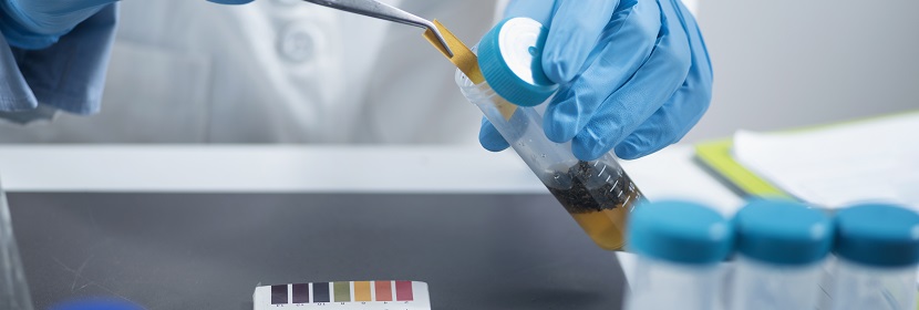 化學(xué)品哺乳動物細(xì)胞基因突變試驗