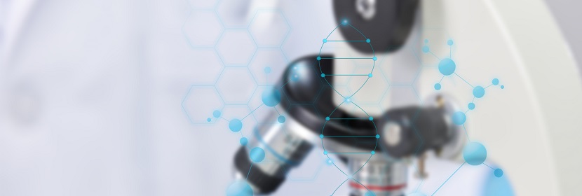 空氣凈化用竹炭檢測(cè)