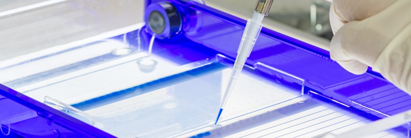 陰極電泳涂料檢測(cè)