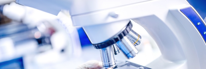 塑料玻璃纖維增強(qiáng)聚對(duì)苯二甲酰癸二胺檢測